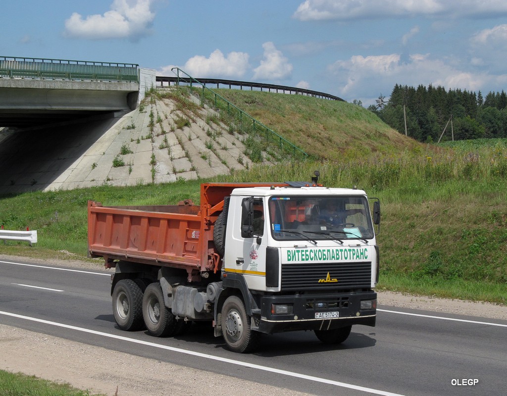 Витебская область, № АЕ 5174-2 — МАЗ-6501 (общая модель)