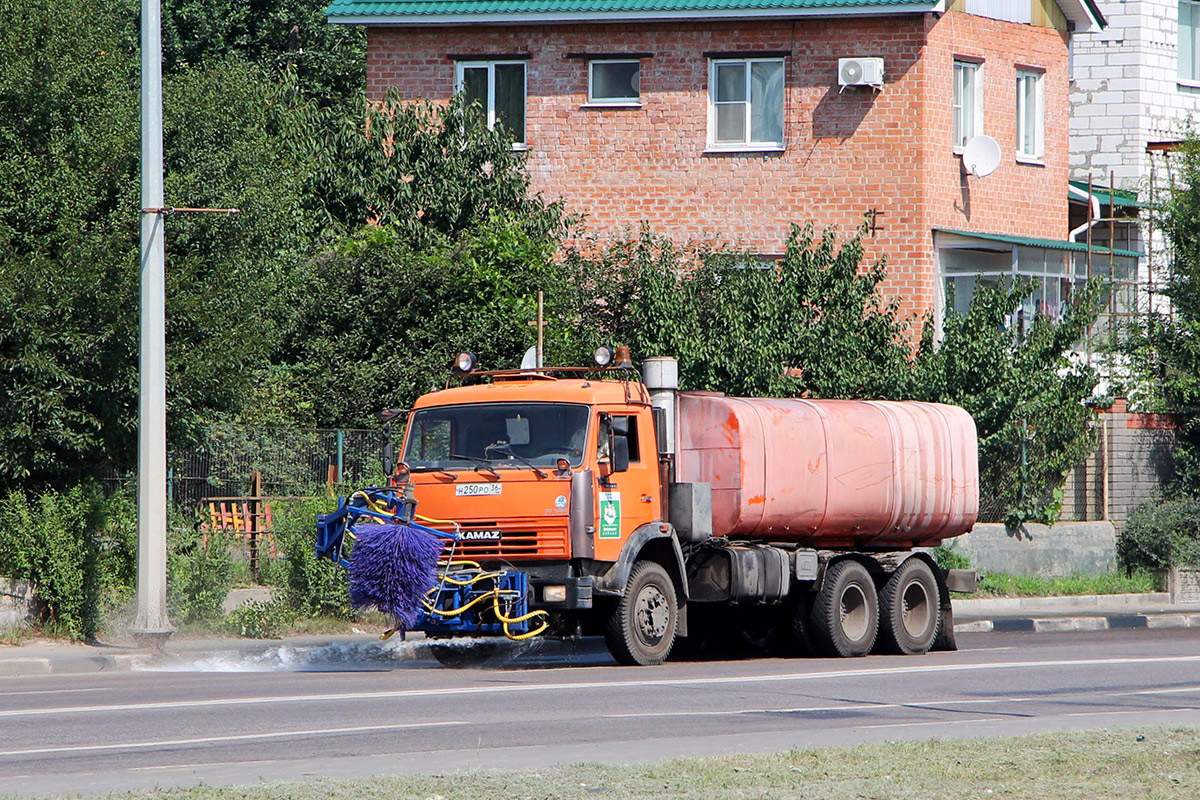 Воронежская область, № Н 250 РО 36 — КамАЗ-65115-62