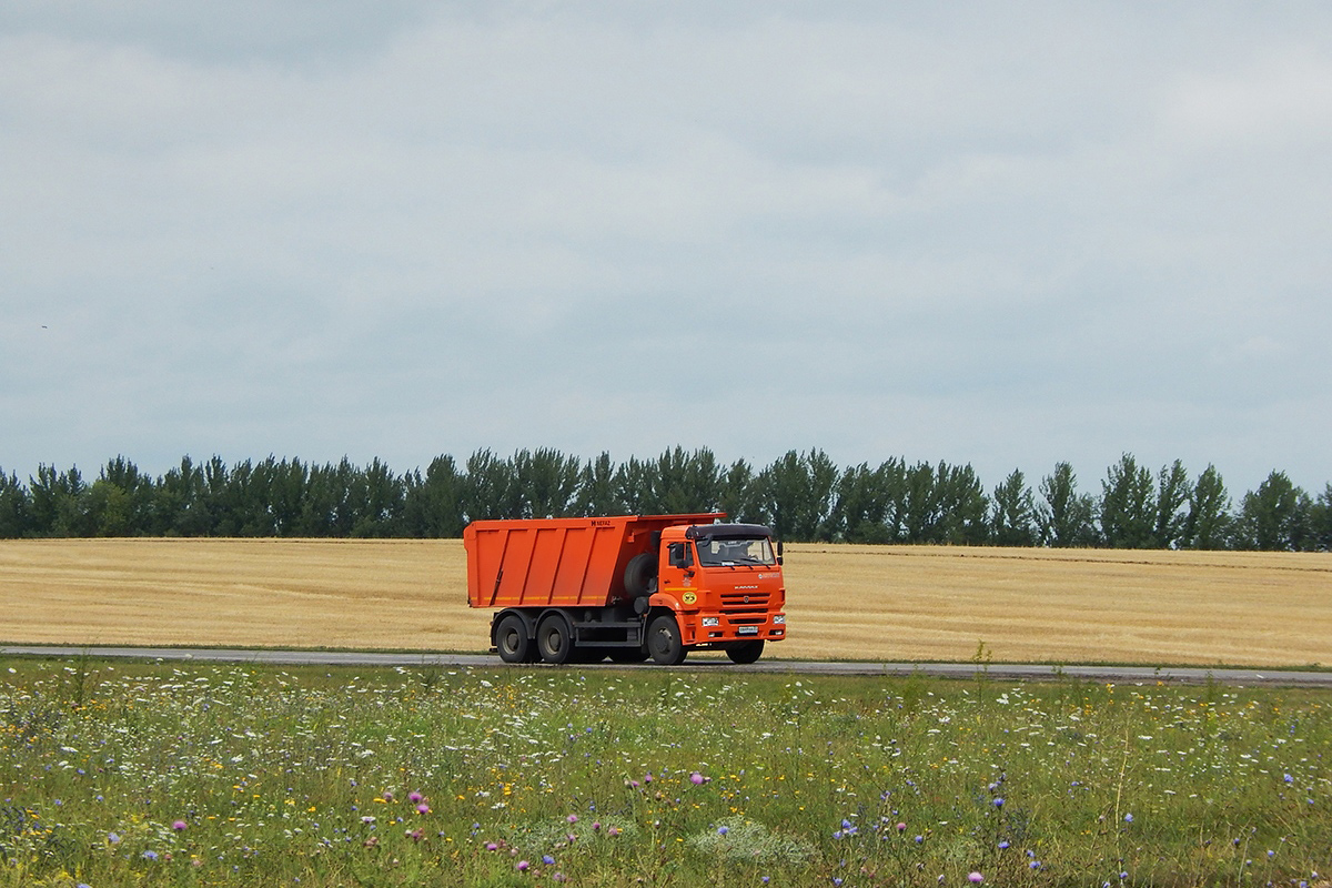 Белгородская область, № О 649 НА 31 — КамАЗ-6520 (общая модель)