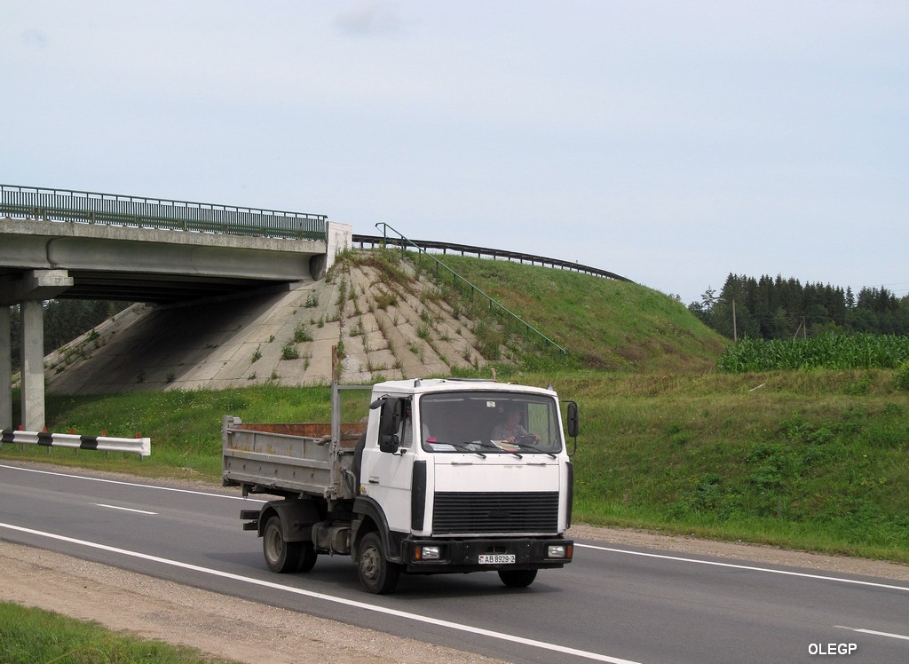 Витебская область, № АВ 8929-2 — МАЗ-4570 (общая модель)