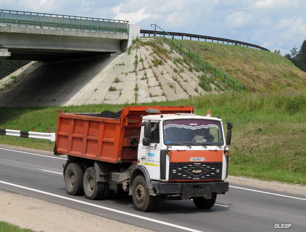 Витебская область, № АВ 8801-2 — МАЗ-5516 (общая модель)