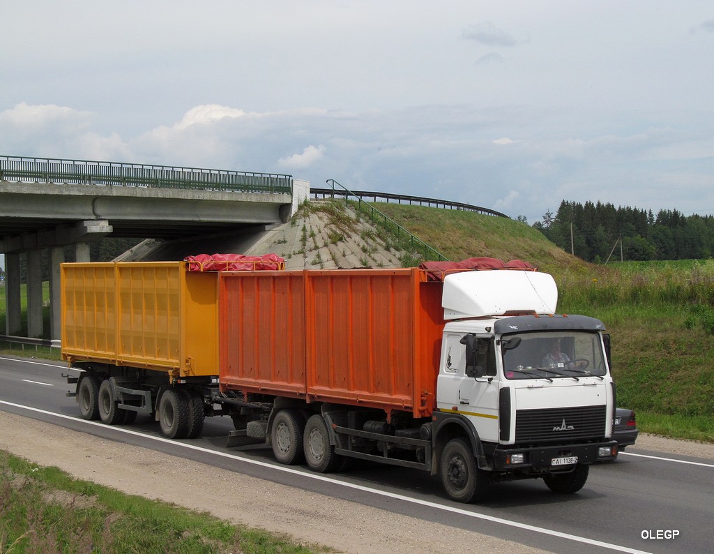 Витебская область, № АІ 1138-2 — МАЗ-6303 (общая модель)