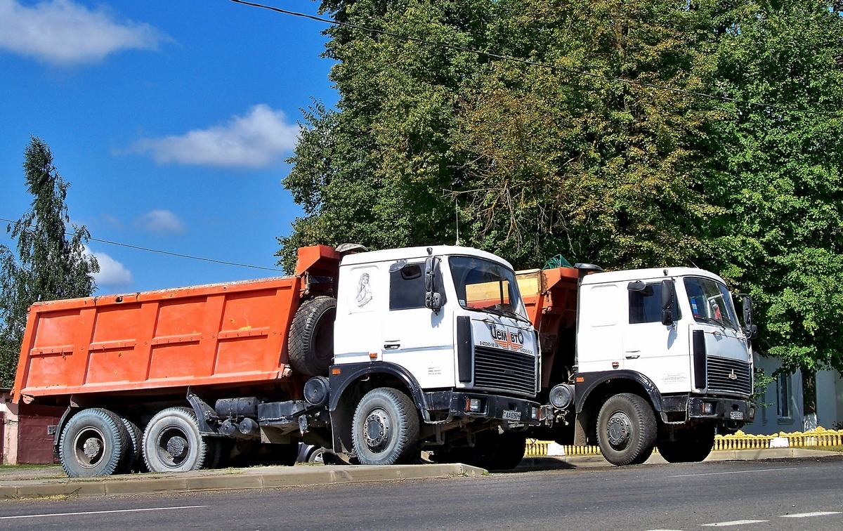 Могилёвская область, № АА 6260-6 — МАЗ-5516 (общая модель)