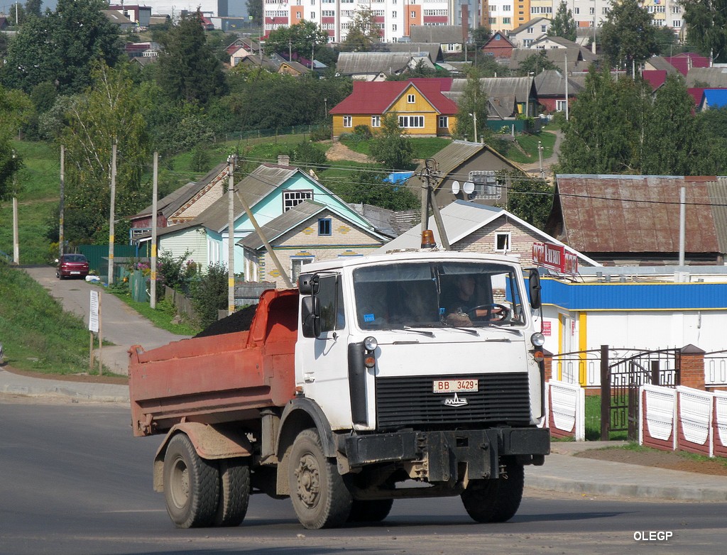 Витебская область, № ВВ 3429 — МАЗ-5551 (общая модель)