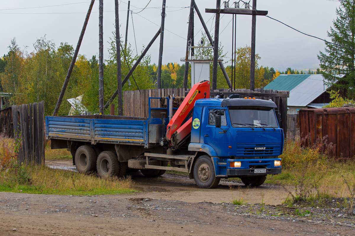 Красноярский край, № Х 231 КУ 124 — КамАЗ-65117-N3(78)