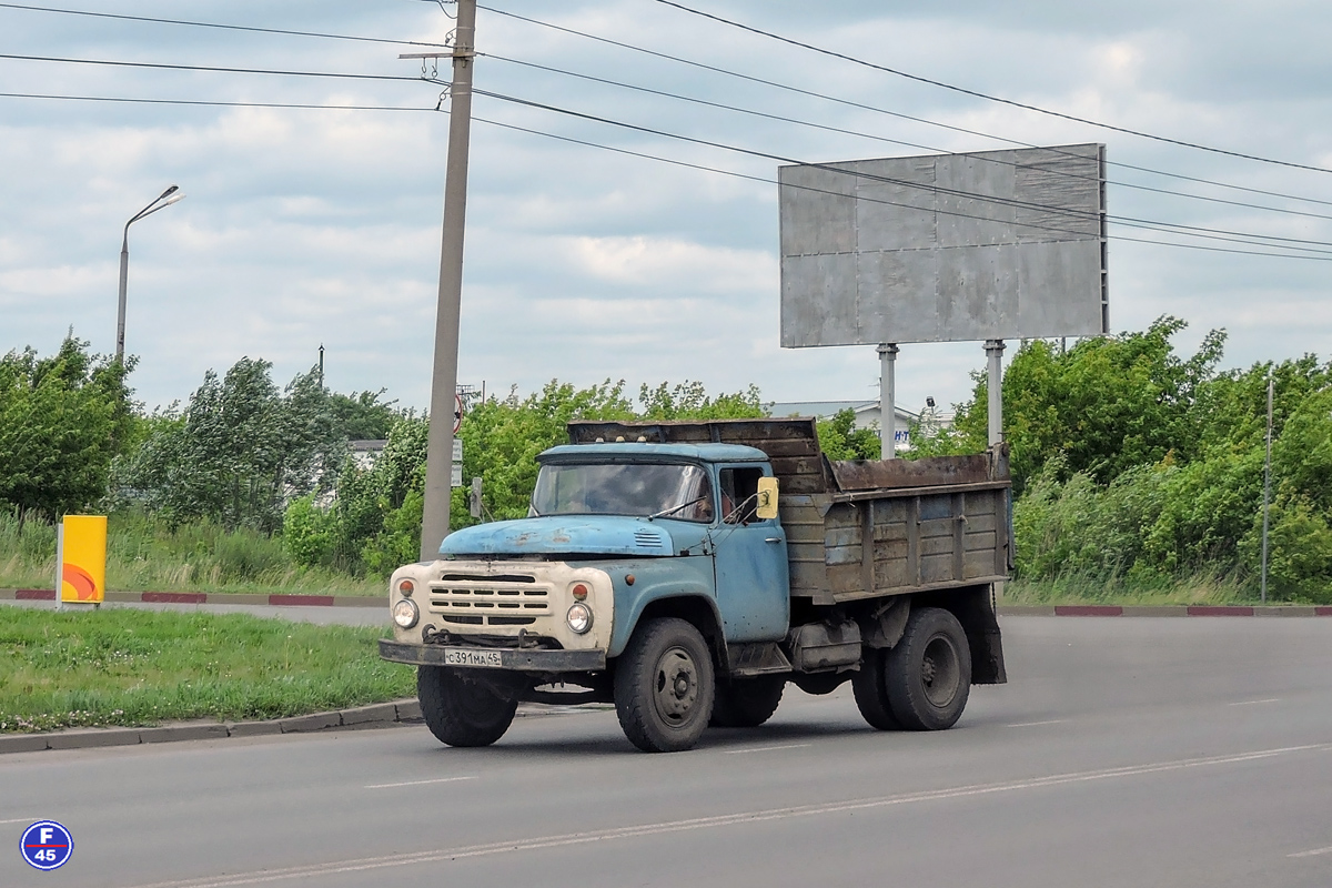 Курганская область, № С 391 МА 45 — ЗИЛ-495810