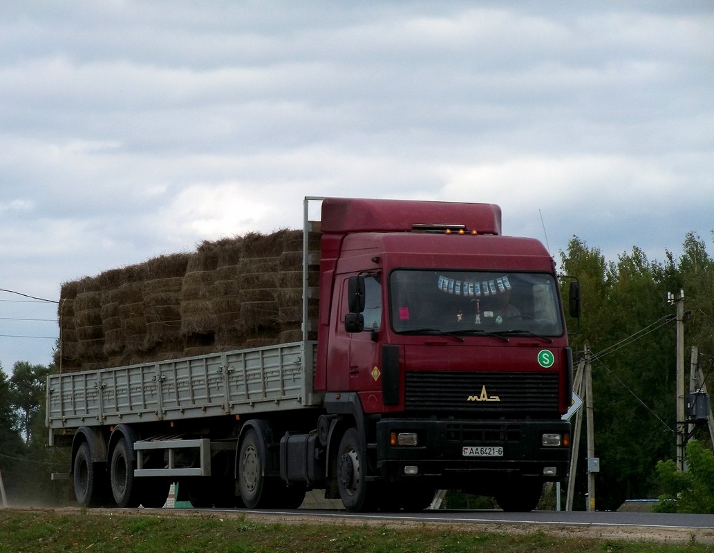 Могилёвская область, № АА 6421-6 — МАЗ-5440 (общая модель)