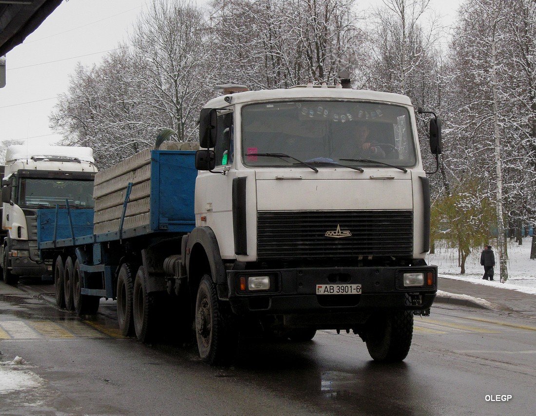 Могилёвская область, № АВ 3901-6 — МАЗ-6425 (общая модель)