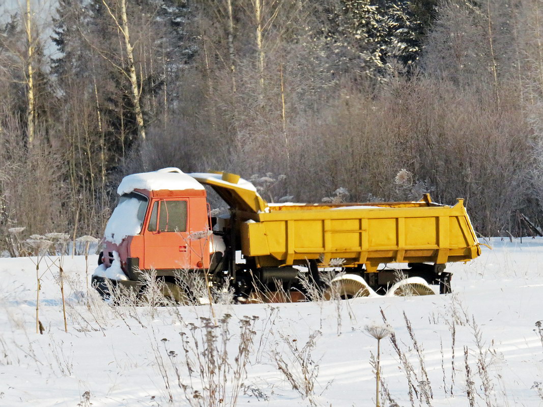 Кировская область, № (43) Б/Н 0033 — Tatra 815 S1 A