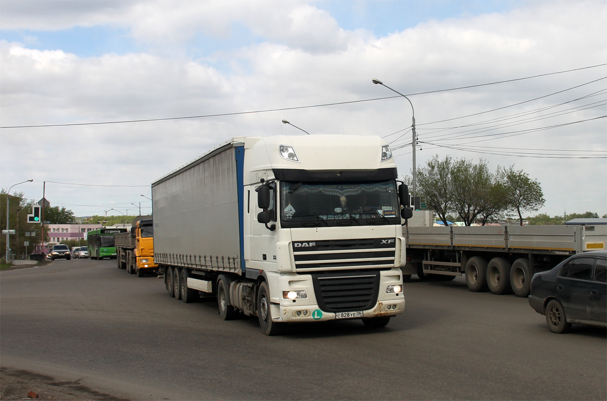 Воронежская область, № С 828 УЕ 36 — DAF XF105 FT