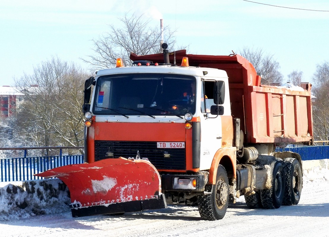 Могилёвская область, № ТВ 5240 — МАЗ-5516 (общая модель)