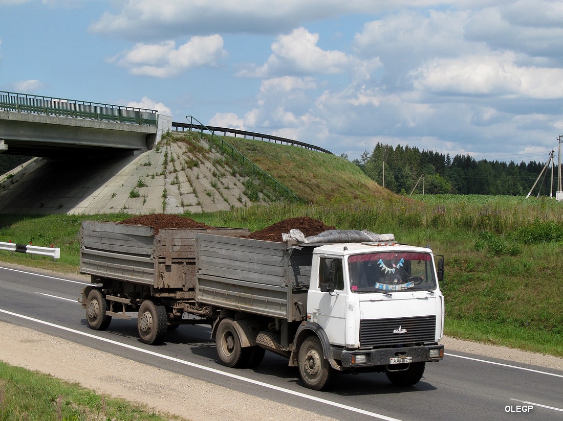 Могилёвская область, № АА 4012-6 — МАЗ-5551 (общая модель)