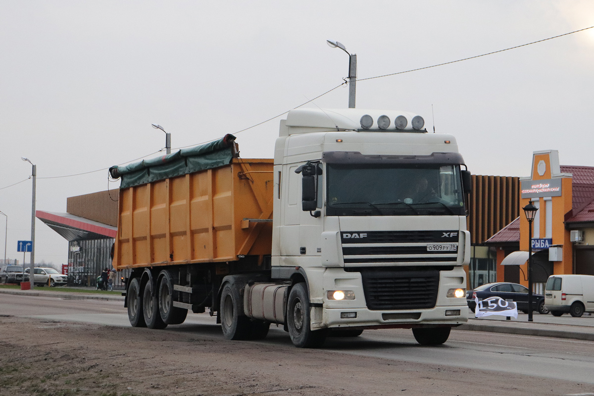 Калининградская область, № О 909 РУ 39 — DAF XF95 FT