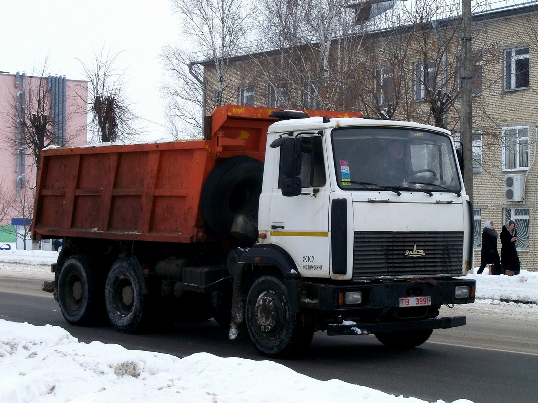 Могилёвская область, № ТВ 3991 — МАЗ-5516 (общая модель)