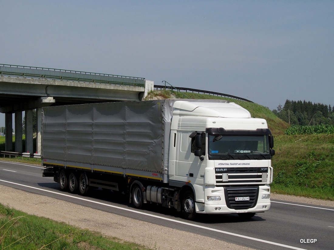 Брестская область, № АІ 4541-1 — DAF XF95 FT