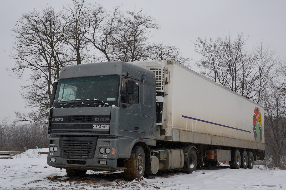 Ростовская область, № О 645 УВ 61 — DAF 95XF FT