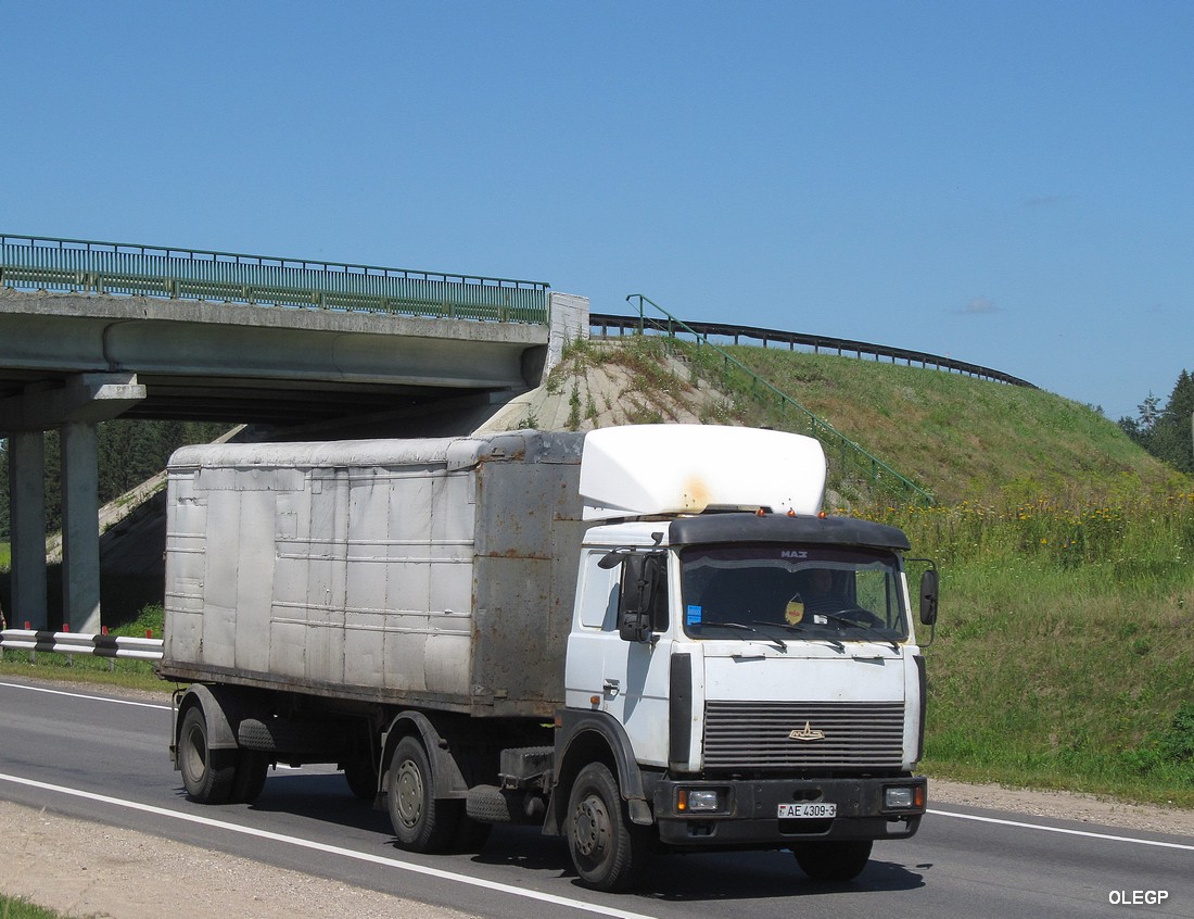 Гомельская область, № АЕ 4309-3 — МАЗ-5432 (общая модель)