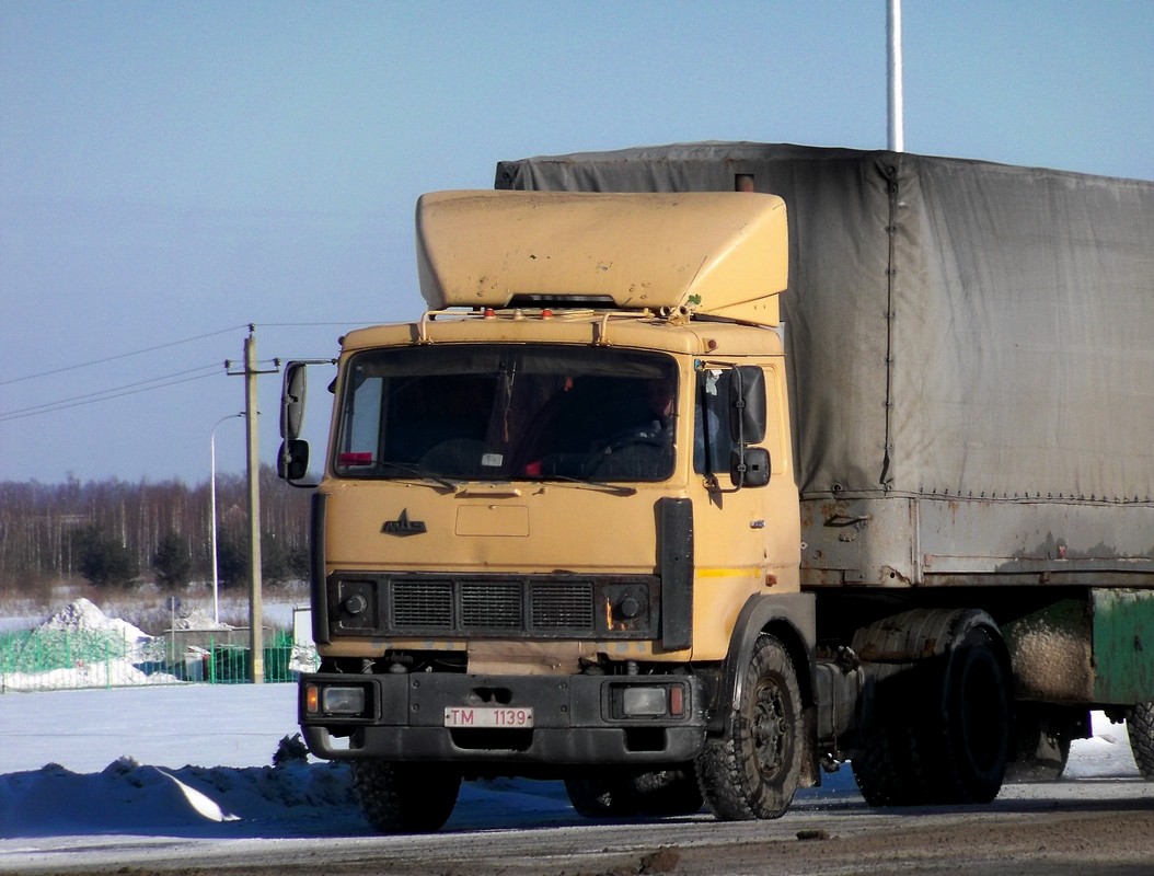 Могилёвская область, № ТМ 1139 — МАЗ-5432 (общая модель)