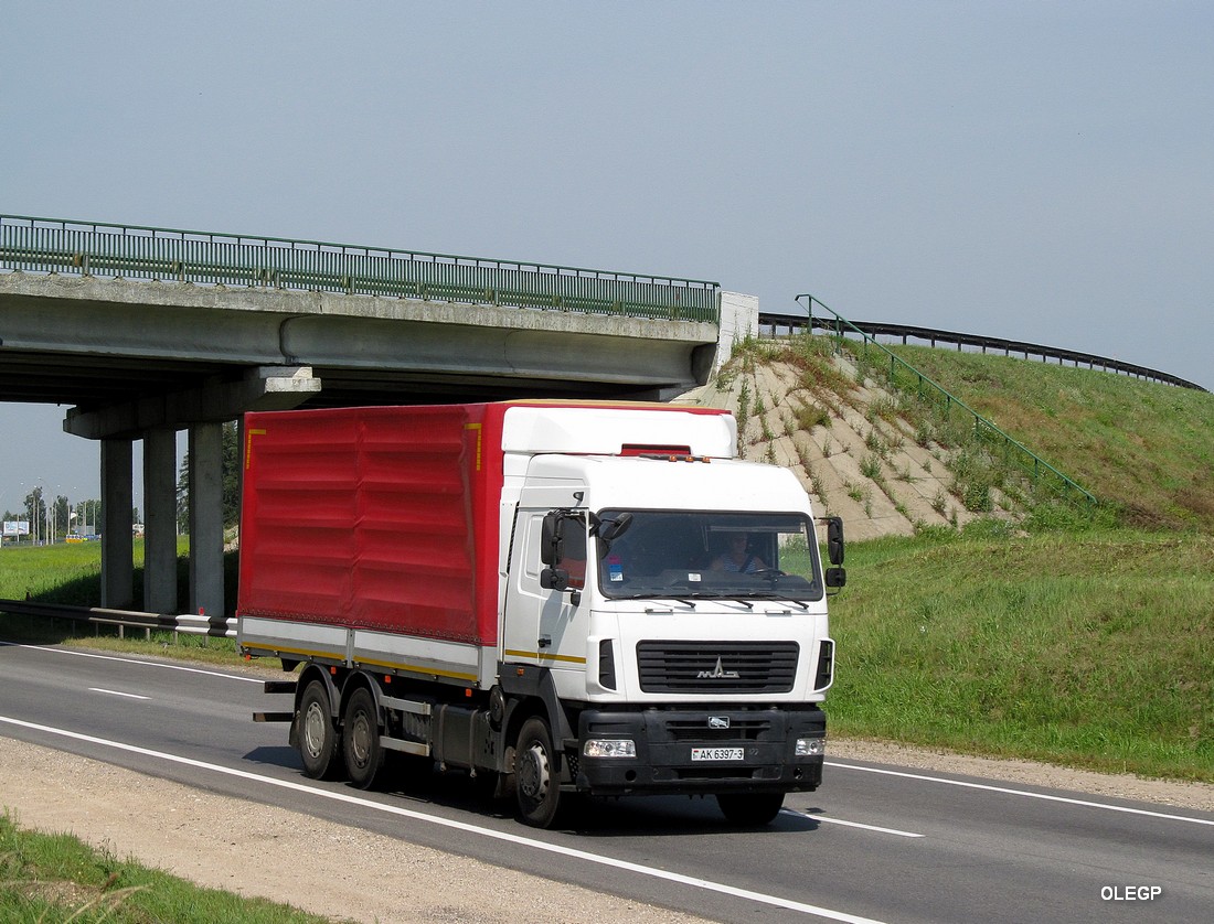 Гомельская область, № АК 6397-3 — МАЗ-6312B5