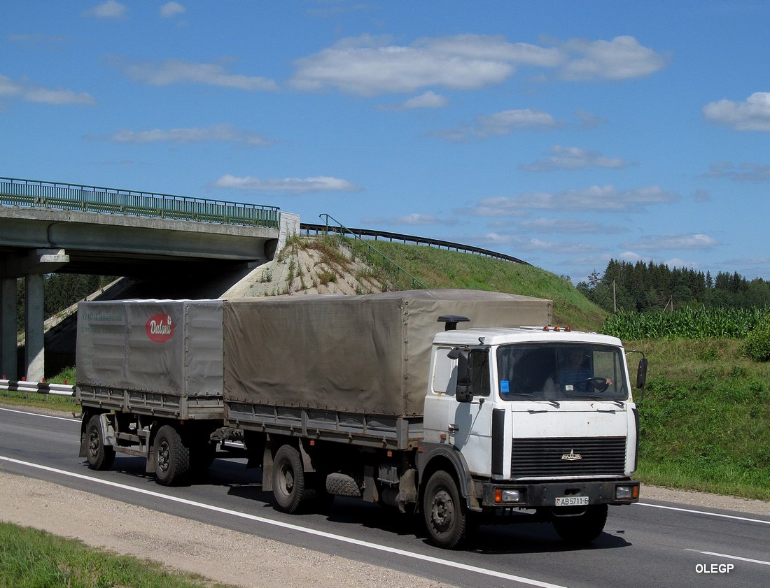 Могилёвская область, № АВ 5711-6 — МАЗ-5336 (общая модель)