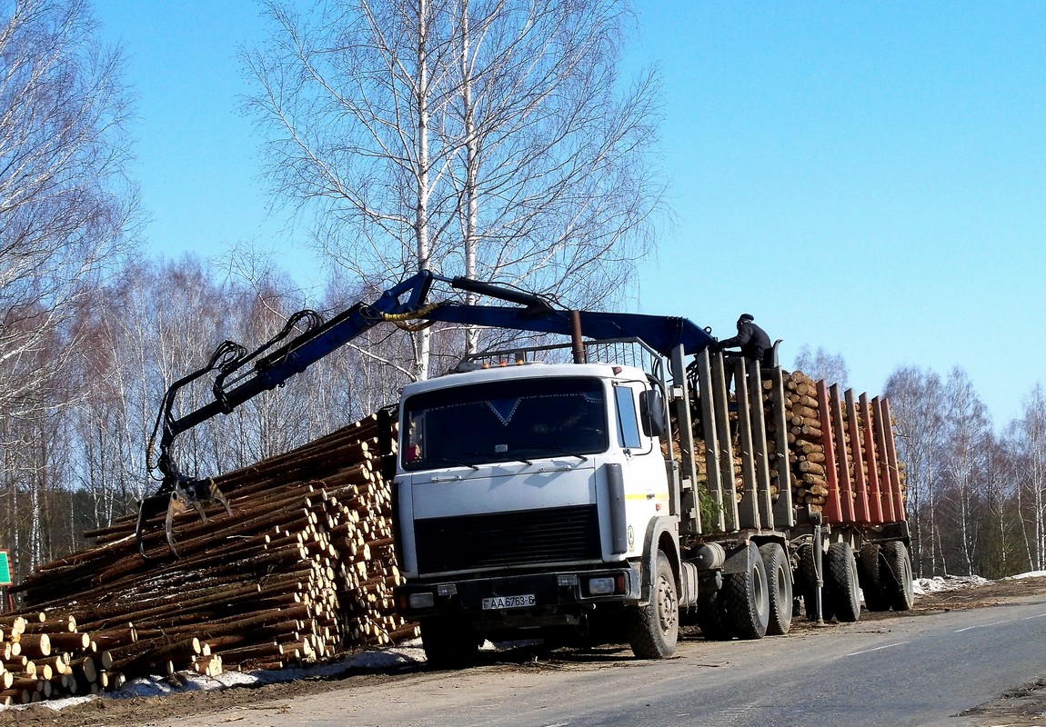 Могилёвская область, № АА 6763-6 — МАЗ-6303 (общая модель)