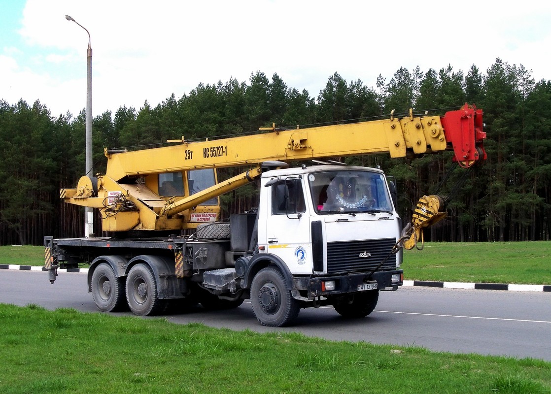 Могилёвская область, № АІ 1310-6 — МАЗ-6303 (общая модель)