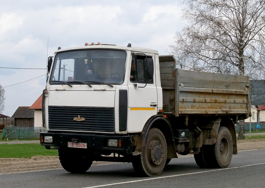 Могилёвская область, № ТВ 5026 — МАЗ-5551 (общая модель)