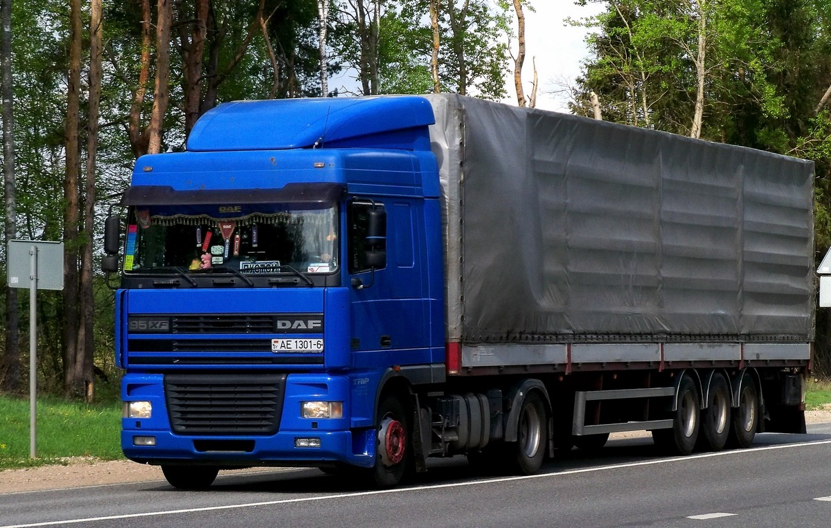 Могилёвская область, № АЕ 1301-6 — DAF 95XF FT