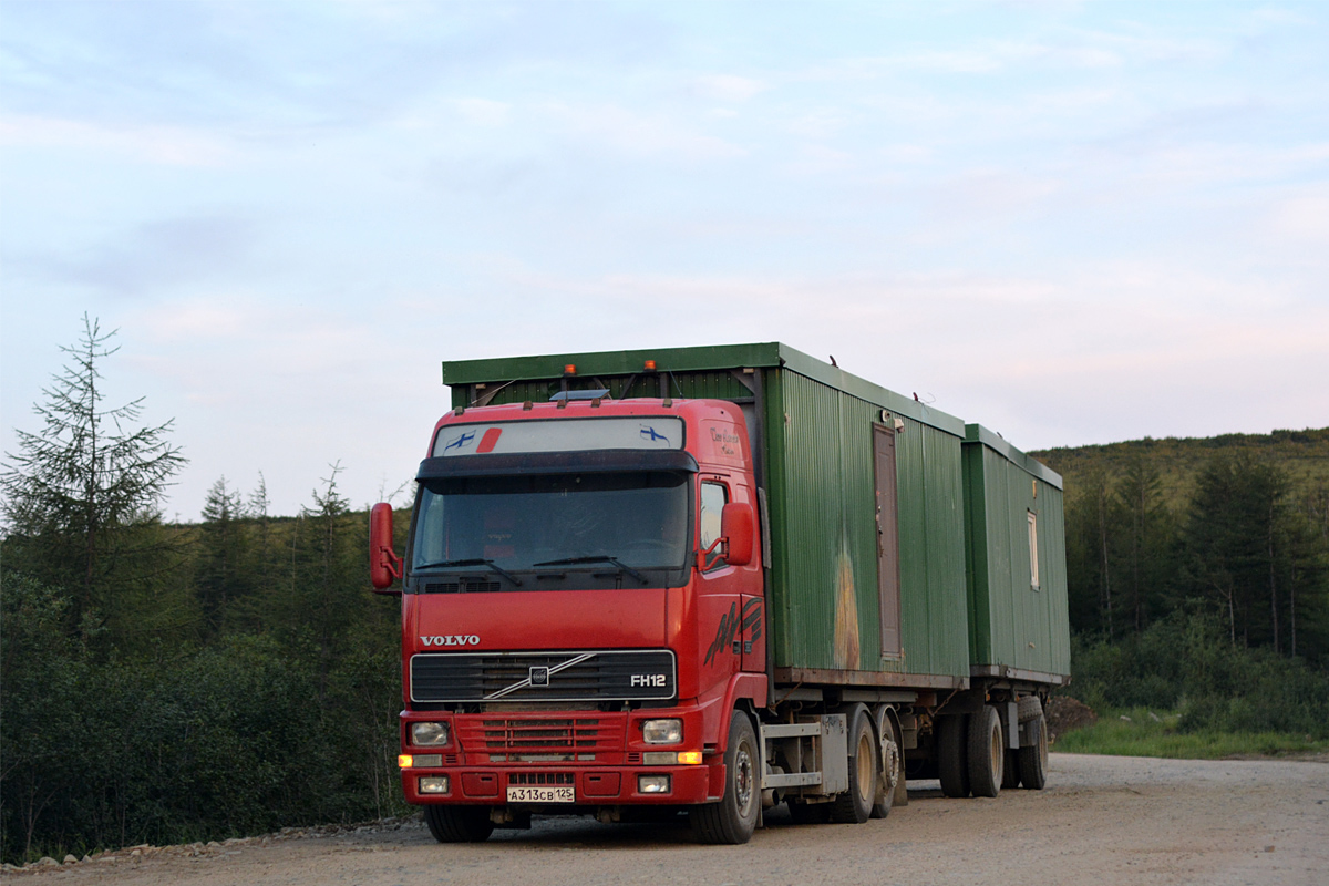 Приморский край, № А 313 СВ 125 — Volvo ('1993) FH12.380