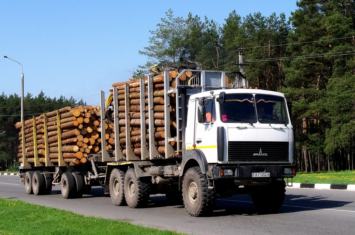 Могилёвская область, № АІ 1454-6 — МАЗ-6317 (общая модель)