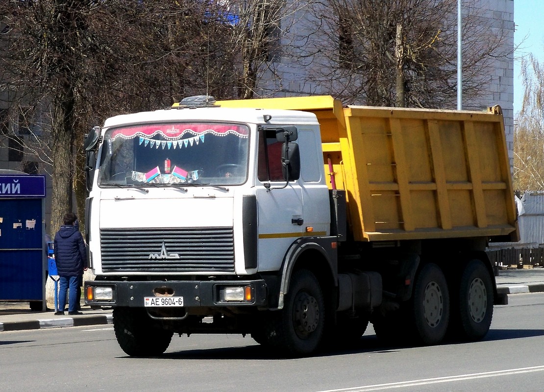 Могилёвская область, № АЕ 9604-6 — МАЗ-5516 (общая модель)