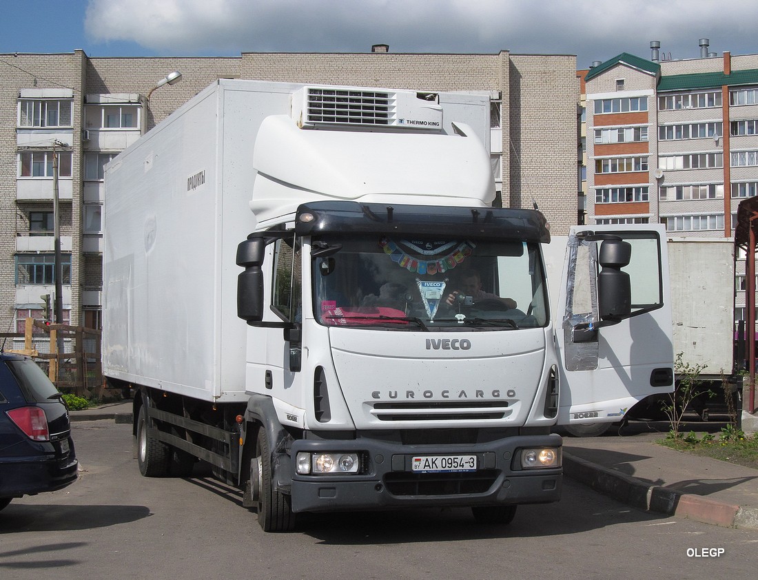 Гомельская область, № АК 0954-3 — IVECO EuroCargo ('2008)