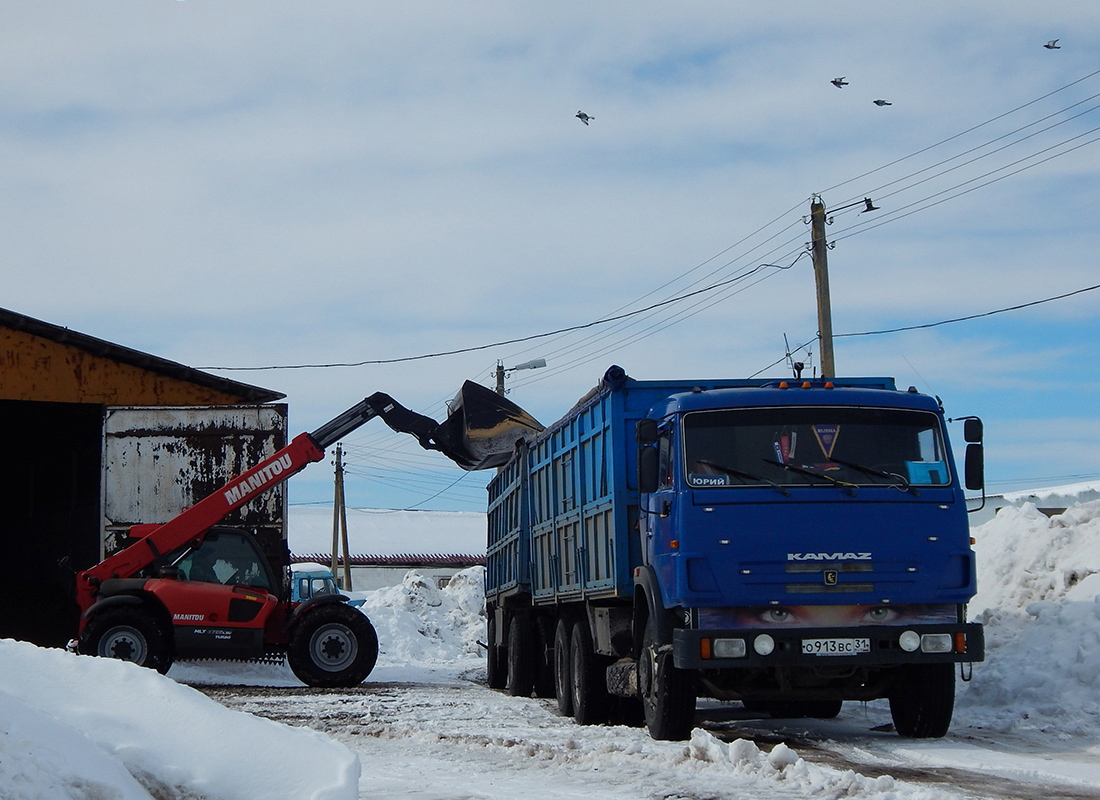 Белгородская область, № О 913 ВС 31 — КамАЗ-53215 [532150]