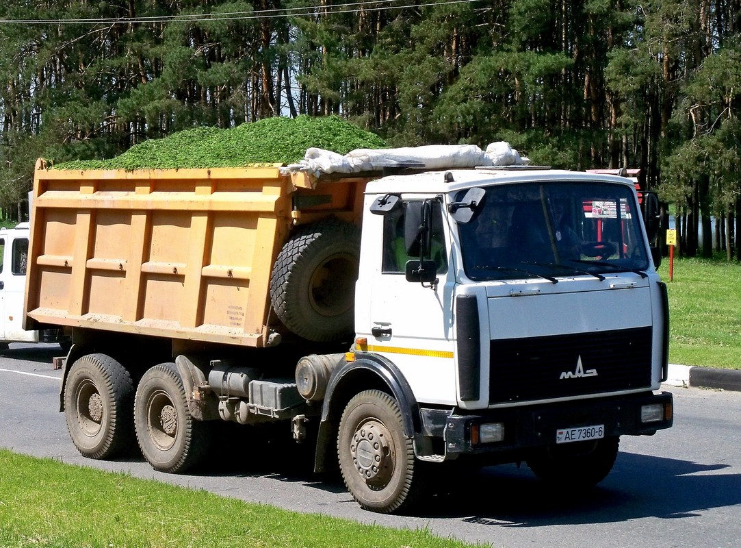 Могилёвская область, № АЕ 7360-6 — МАЗ-5516 (общая модель)