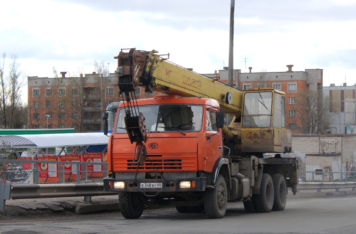 Псковская область, № Е 348 ВУ 60 — БАЗ-8029