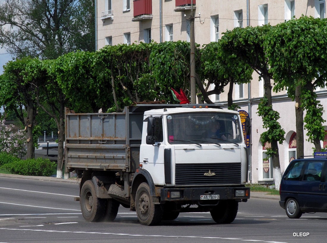 Витебская область, № АЕ 7309-2 — МАЗ-5551 (общая модель)