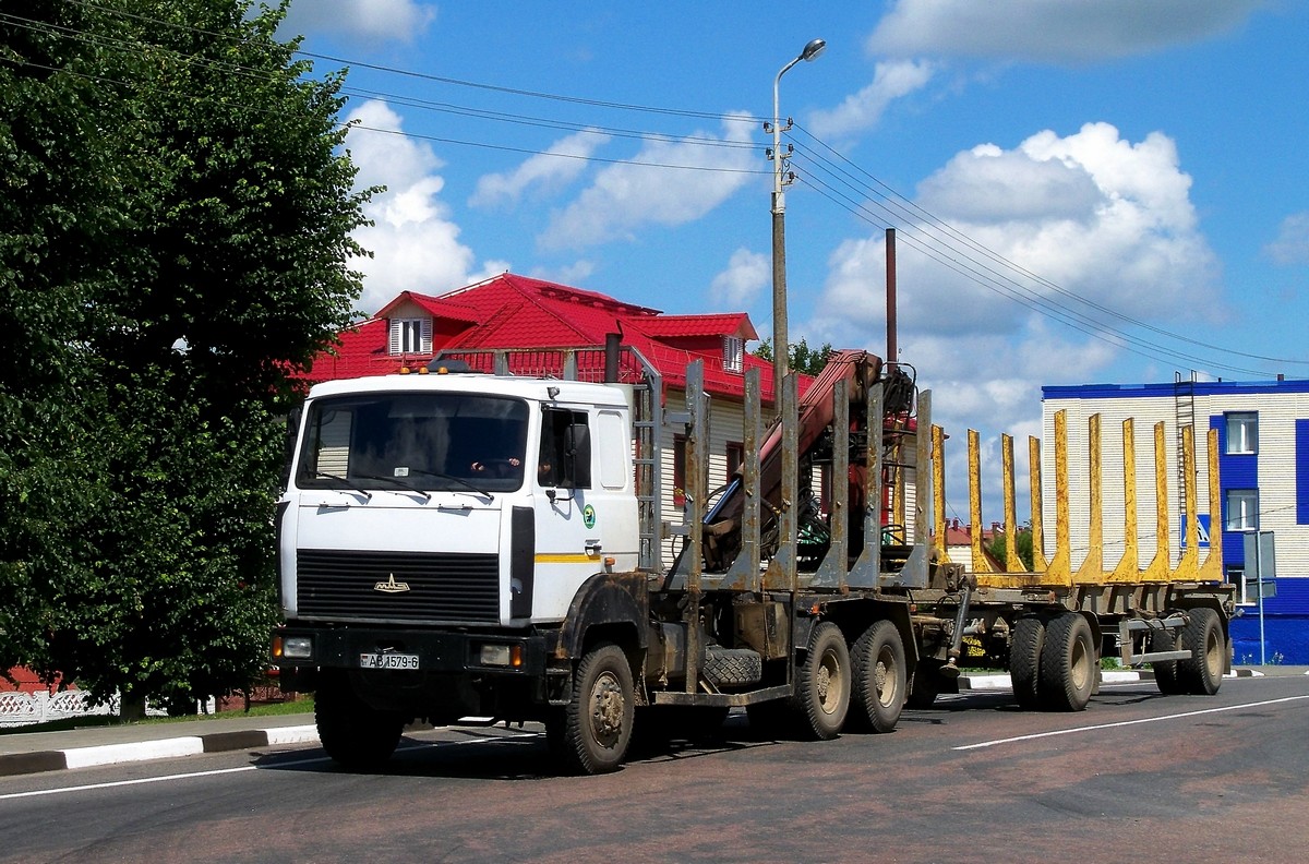 Могилёвская область, № АВ 1579-6 — МАЗ-6317 (общая модель)