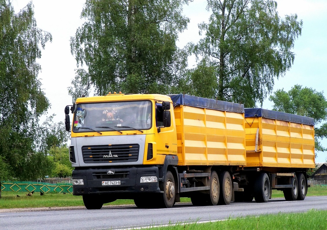 Могилёвская область, № АЕ 7423-6 — МАЗ-6501A8