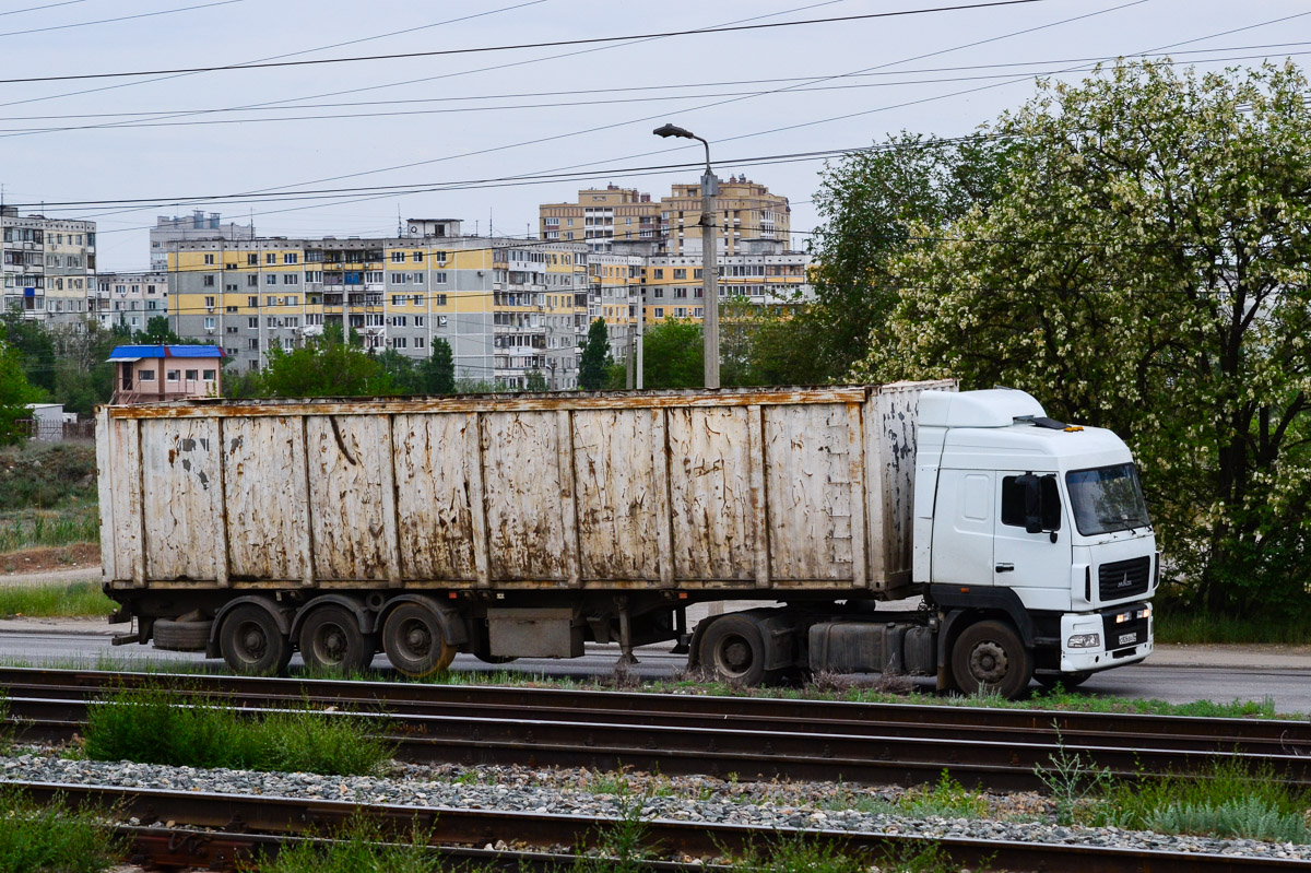 Волгоградская область, № С 826 ЕА 34 — МАЗ-544019