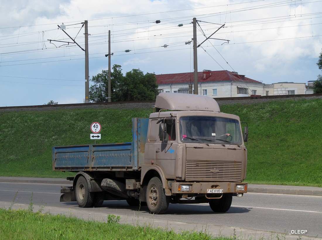 Витебская область, № АЕ 8185-2 — МАЗ-5336 (общая модель)