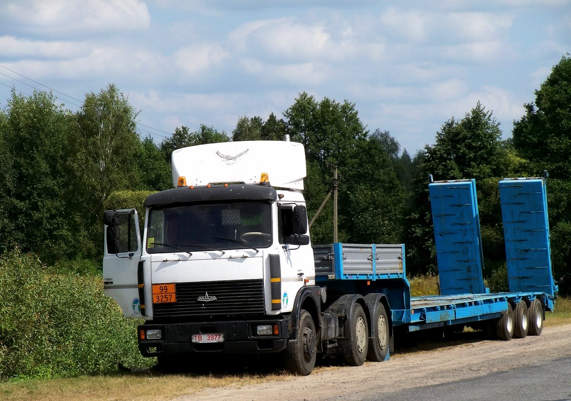 Могилёвская область, № ТВ 3977 — МАЗ-6422 (общая модель)