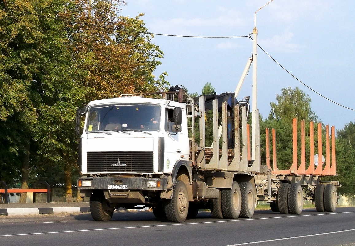 Могилёвская область, № АЕ 8796-6 — МАЗ-6317 (общая модель)