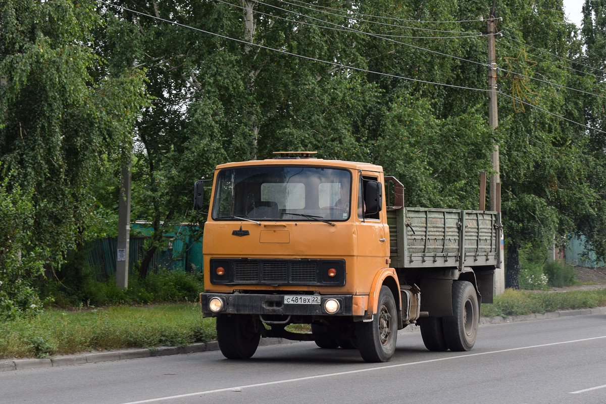 Алтайский край, № С 481 ВХ 22 — МАЗ-5337 [533700]