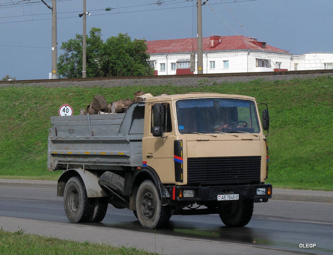 Витебская область, № АЕ 7646-2 — МАЗ-5551 (общая модель)