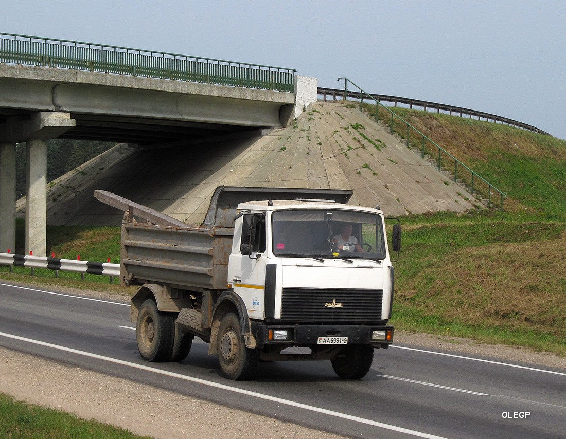 Витебская область, № АА 6981-2 — МАЗ-5551 (общая модель)