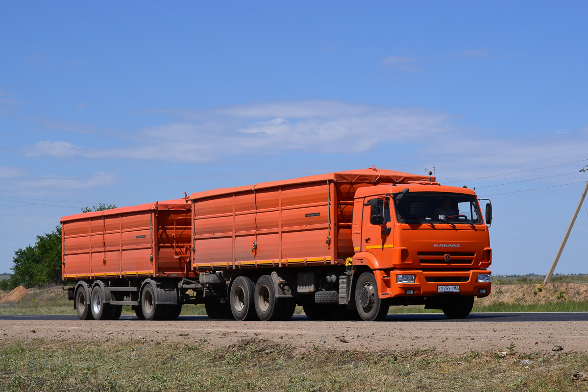 Ростовская область, № С 225 ХН 161 — КамАЗ-65115 (общая модель)