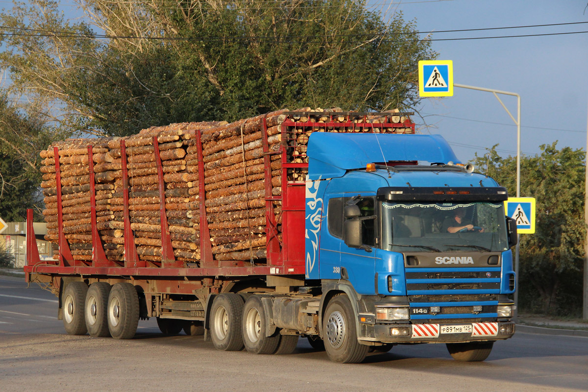 Приморский край, № Р 891 МВ 125 — Scania ('1996) P114G