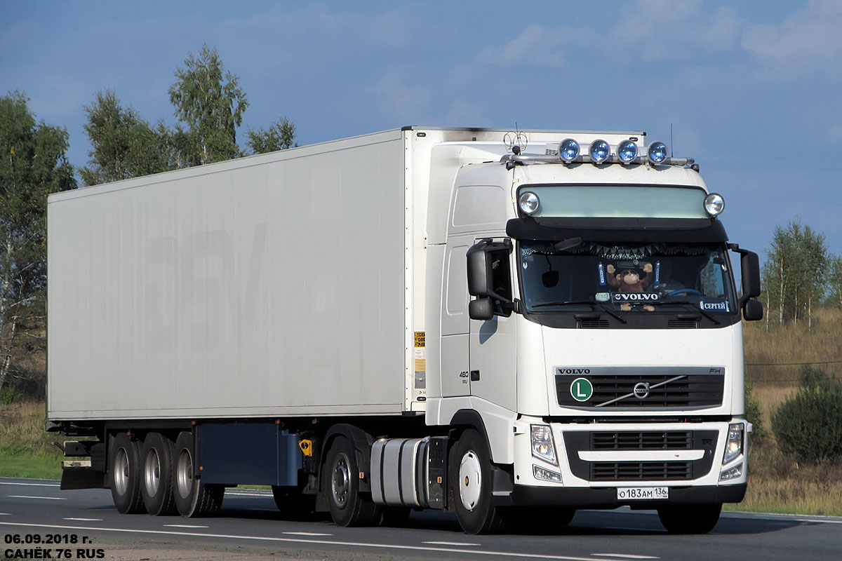 Воронежская область, № О 183 АМ 136 — Volvo ('2012) FH.460