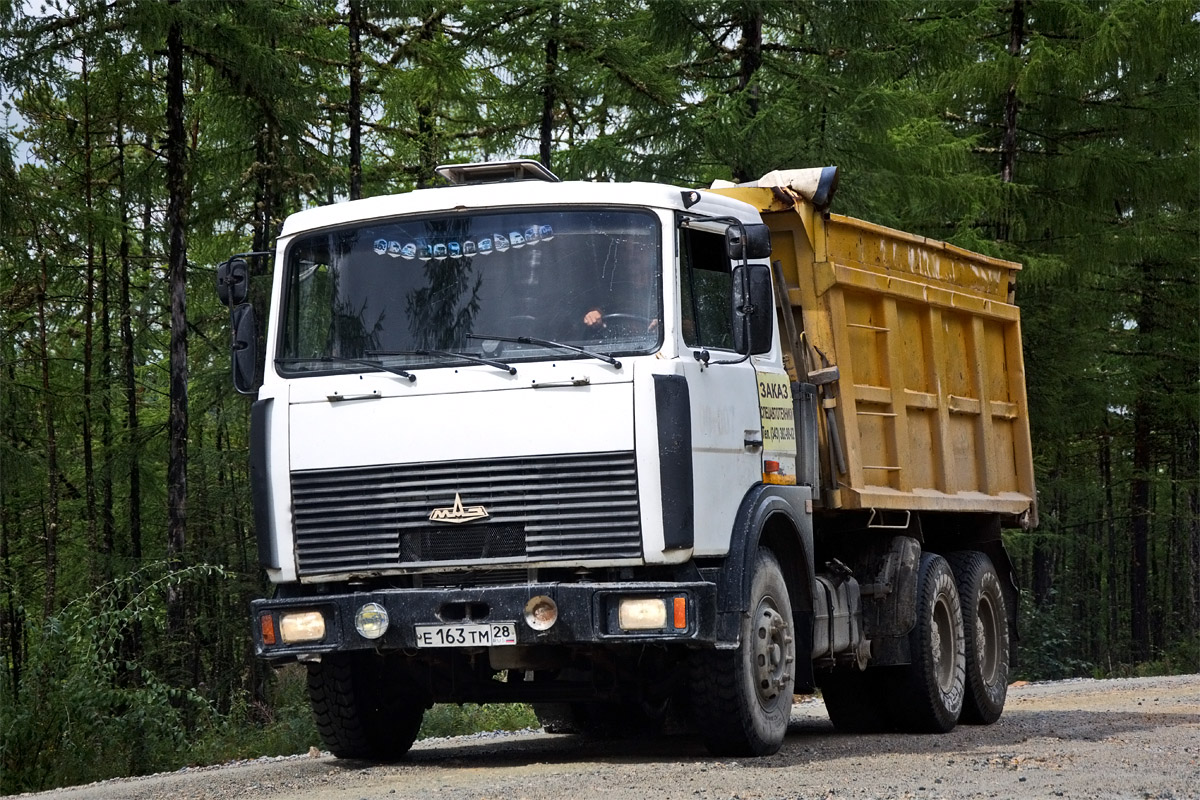 Амурская область, № Е 163 ТМ 28 — МАЗ-551605