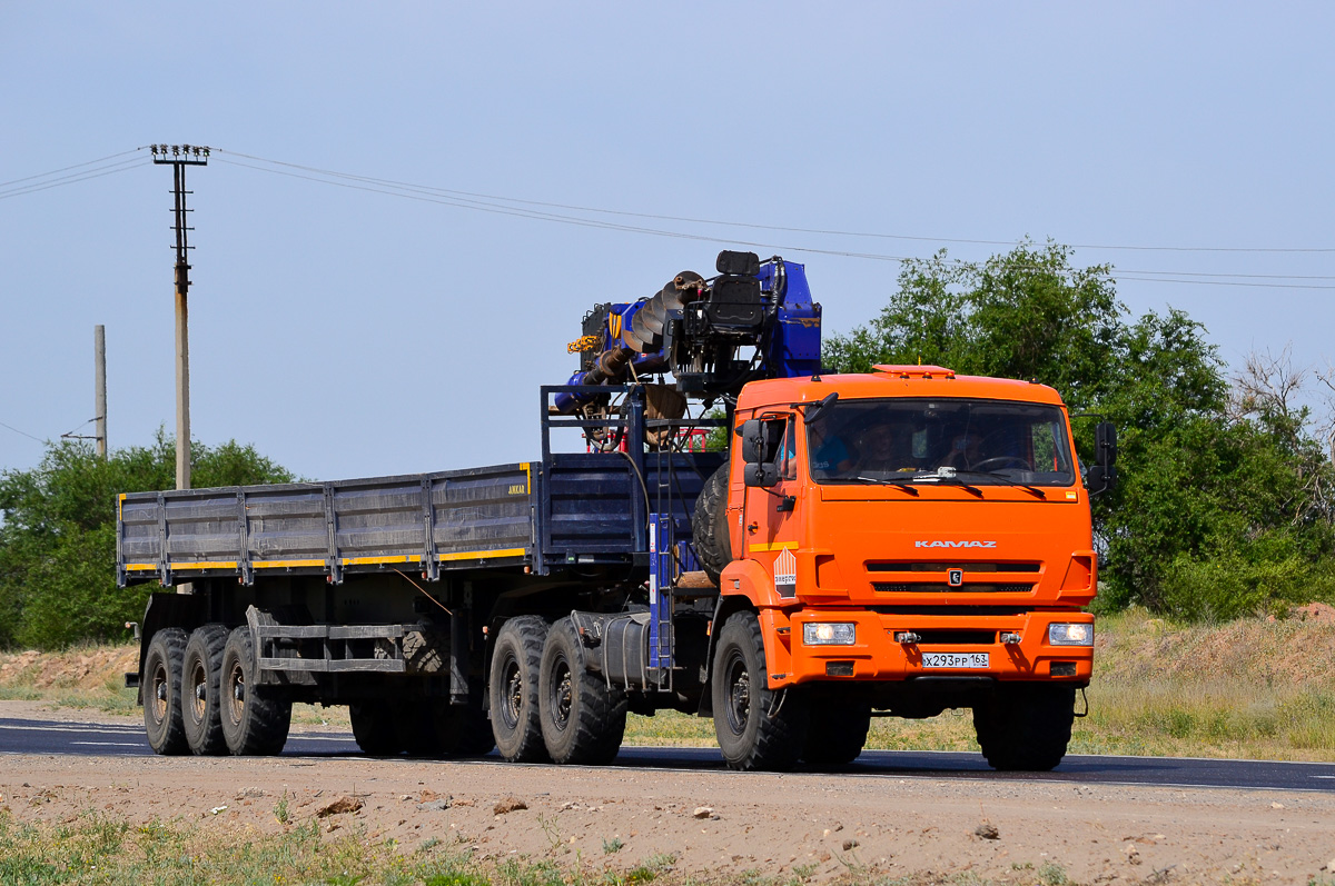 Самарская область, № Х 293 РР 163 — КамАЗ-43118-46